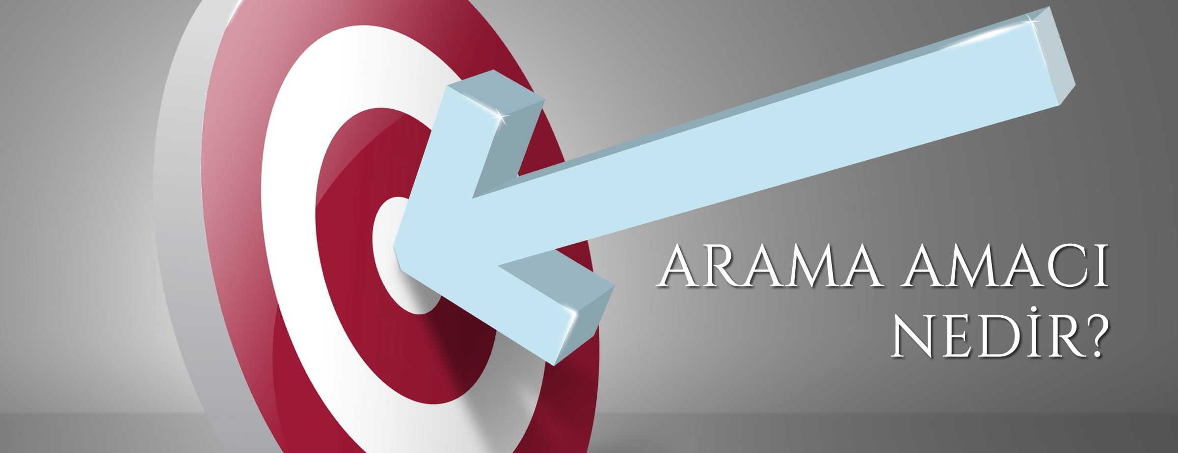 SEO’da Arama Amacı Nedir?