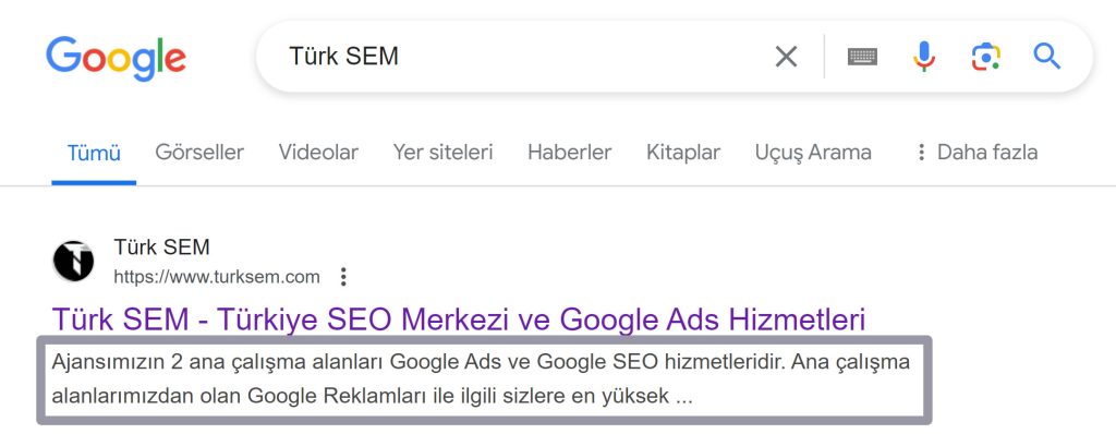 Google arama sonuçlarında “Türk SEM: Türkiye SEO Merkezi ve Google Ads Hizmetleri” başlıklı web sitesi.